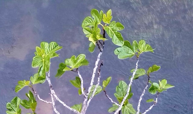 IMG_20140423_135957-1