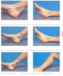 7R (Renovar Lo Retenido) - 8R (Confianza Mutua)