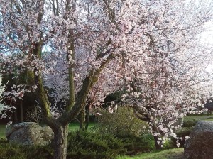 IMG_20150326_183058 1