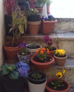 IMG_20150331_125805-1