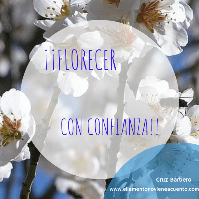 ¡Allá ... vamos! (3)