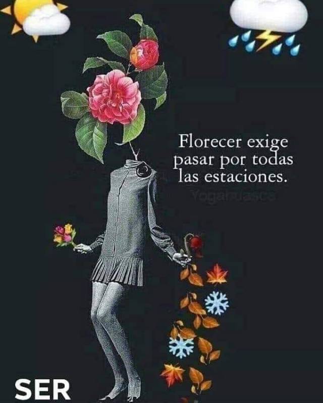 FLORECER EXIGE PASAR POR TODAS LAS ESTACIONES
